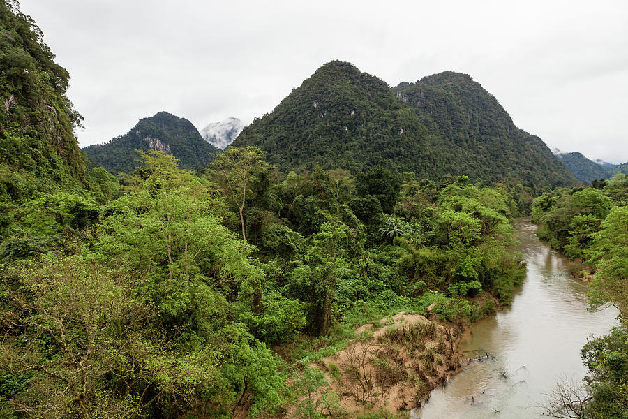 Vietnam jungle Photograph by Lukasz Szczepanski - Pixels