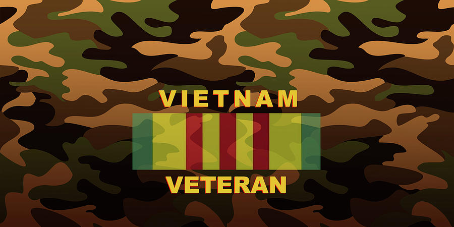 Vietnam Veteran  Digital Art by Lloyd DeBerry