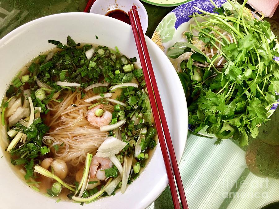 Vietnamese Pho Photograph by Flavia Westerwelle