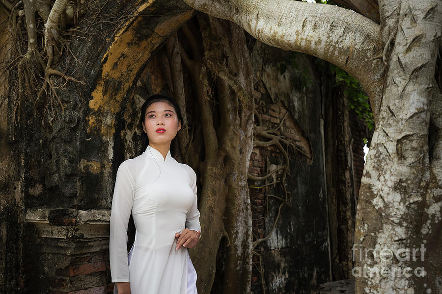 Vietnamese Traditional White Long Dress Photograph By Quang Nguyen Vinh 