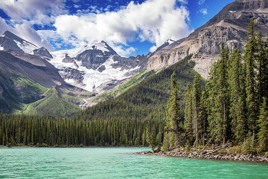 View Above Maligne Lake Photograph by Tim Stanley View Above Maligne Lake Photograph by Tim Stanley