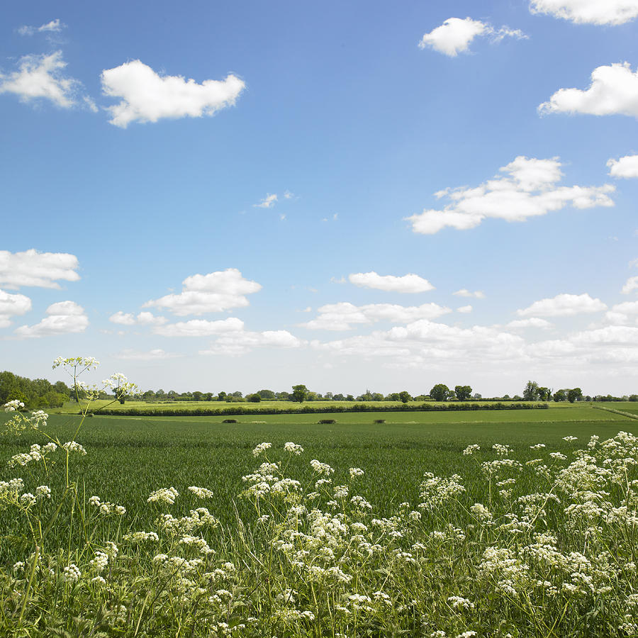 View across countryside landscape. Photograph by Dougal Waters