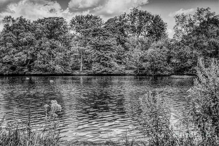 View across finishing lake in Monochrome Photograph by Pics By Tony