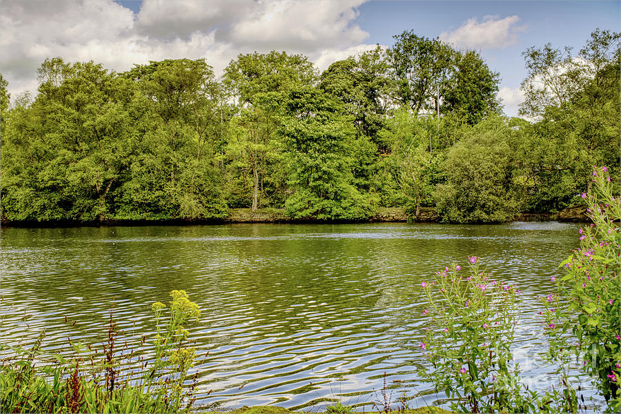 View across fishing lake, Alkington Wood, Manchester, UK Photograph by Pics By Tony