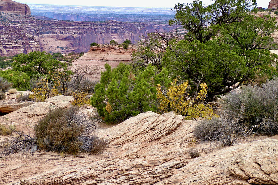 View across from Visitors Center, Island in the Sky, Canyonlands National Park, Utah Photograph by Ruth Hager