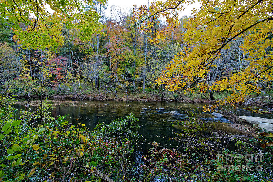 Fall Photograph - View Across The Creek by Paul Mashburn