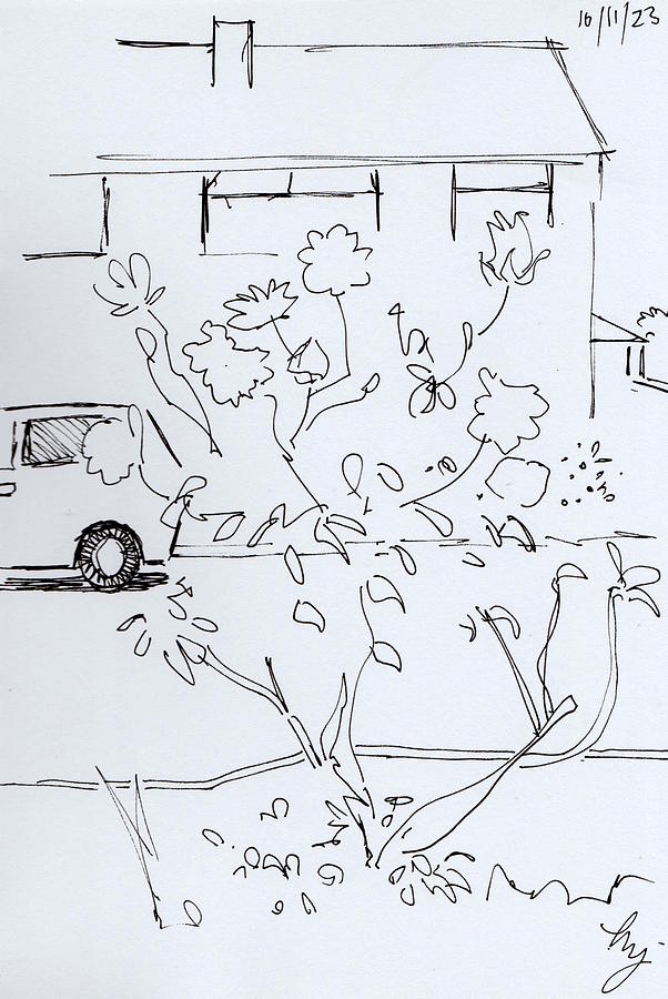 View across the road to house and parked car drawing Drawing by Mike Jory
