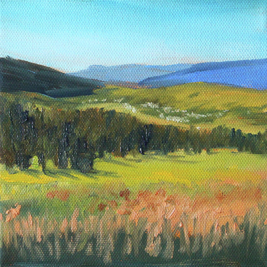 View Across the Valley Painting by Nancy Merkle