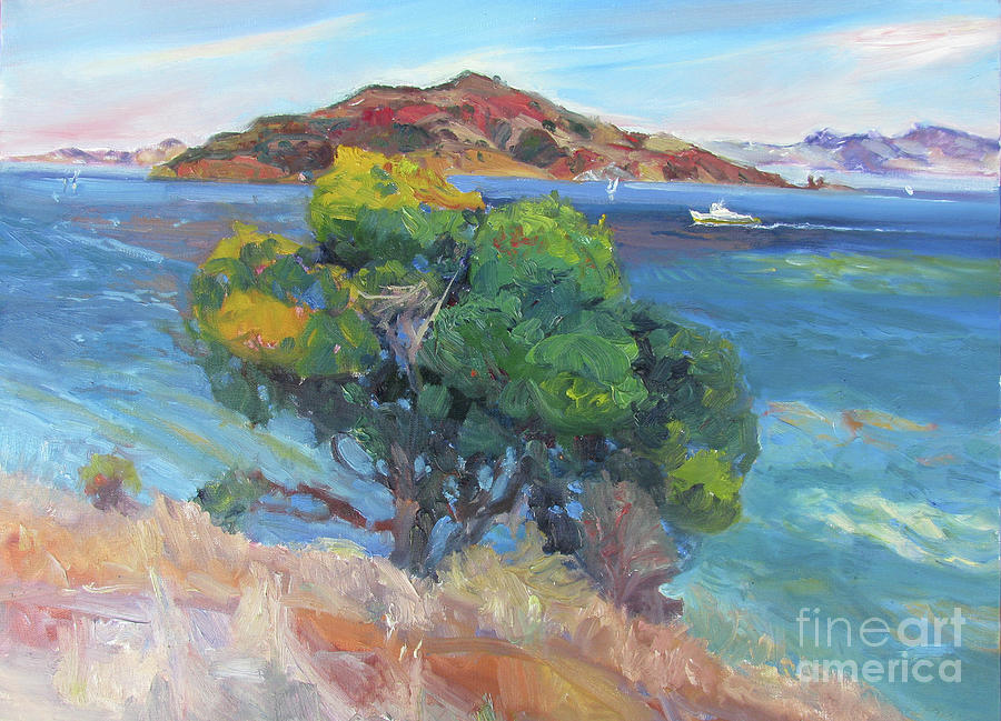 View Angel Island Painting by John McCormick