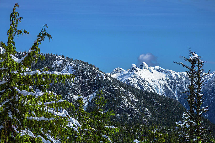 View at  Lions Peaks from Grouse Mountain Photograph by Alex Lyubar