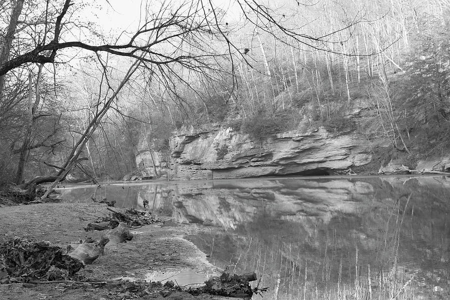 View At Turkey Run State Park Photograph