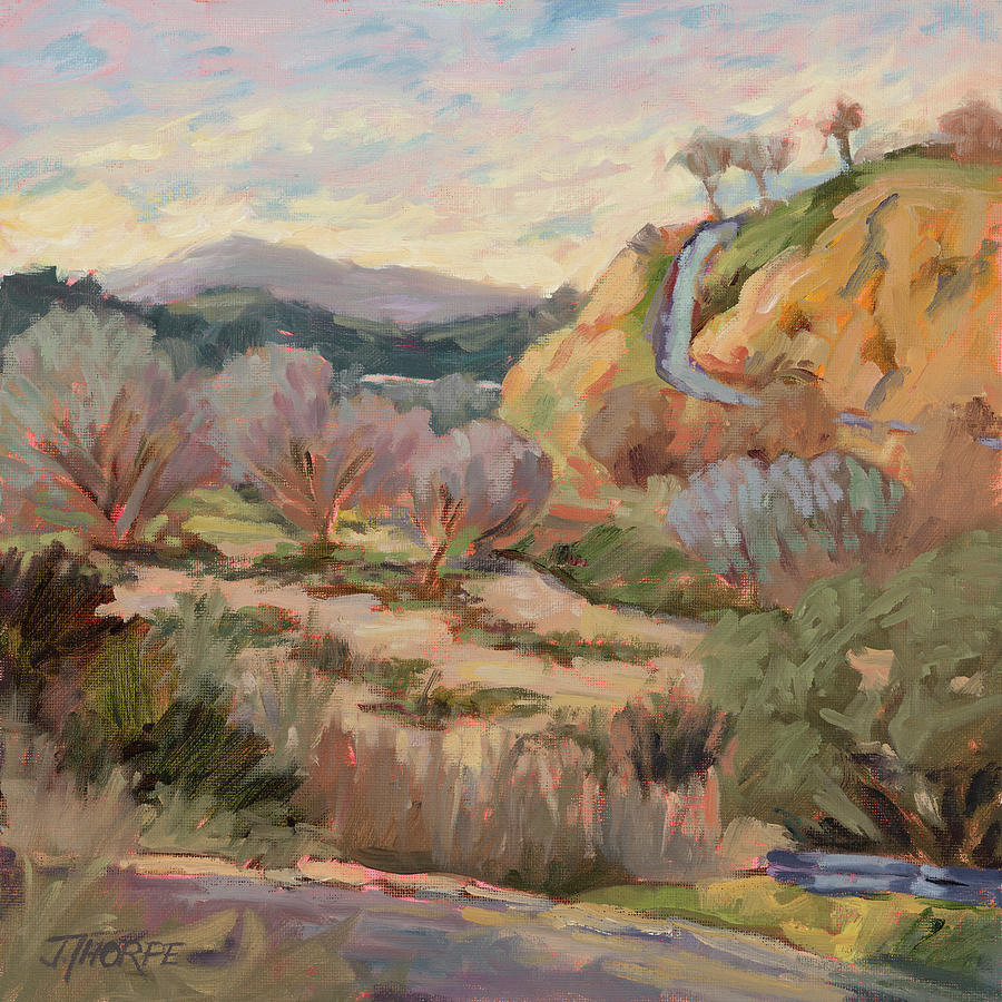 View Down Big Tujunga Canyon Painting by Jane Thorpe