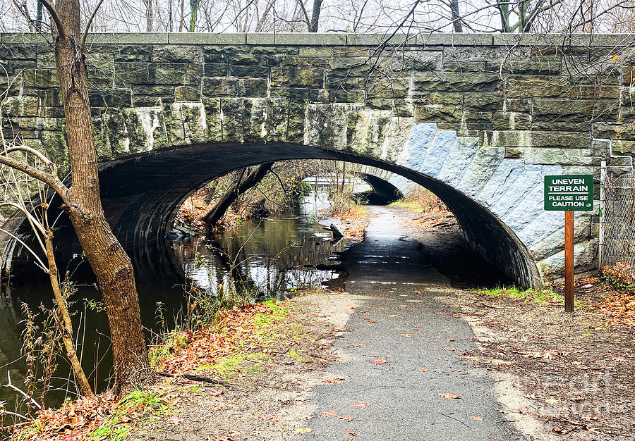 View Entering Belmont Lake State Park From The Babylon Trails