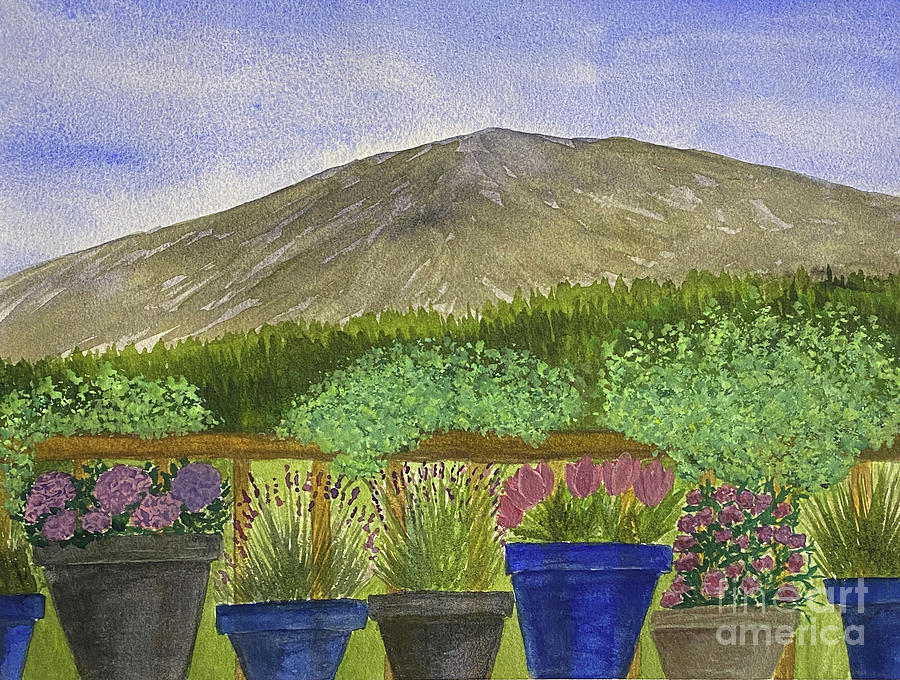 View from a Porch Mixed Media by Lisa Neuman
