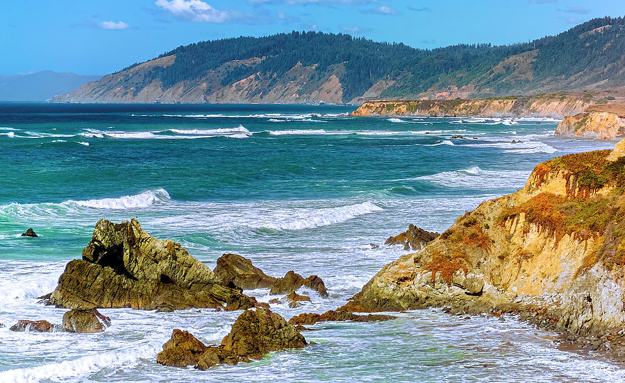 Ocean Photograph - View from Abalone Point by Greg Reed