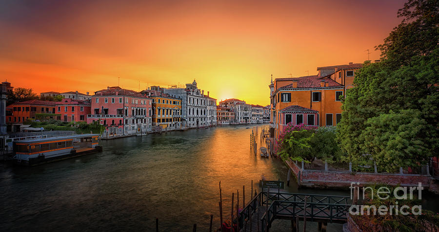 View from Accademia bridge at sunset  Photograph by The P