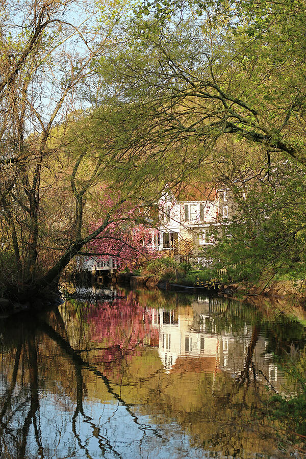 View from across the pond Photograph by Laurie Lago Rispoli View from across the pond Photograph by Laurie Lago Rispoli