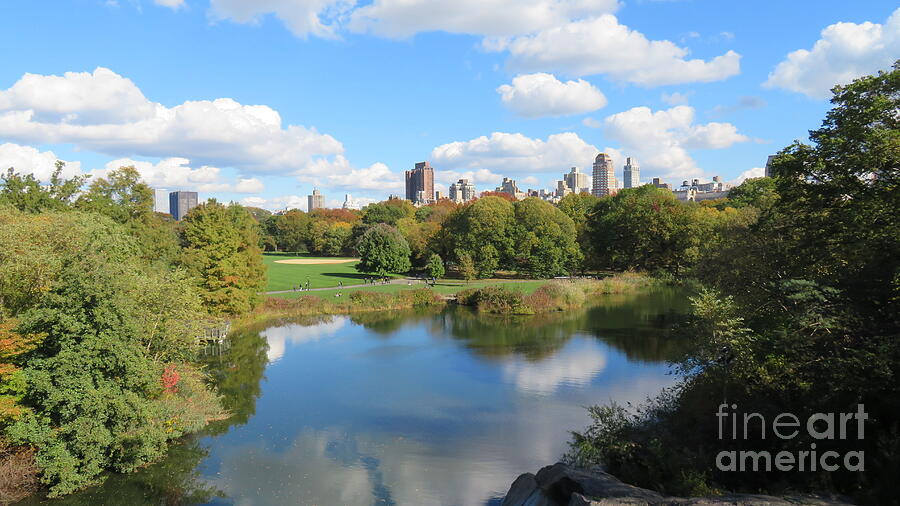 View From Belvedere Castle Photograph