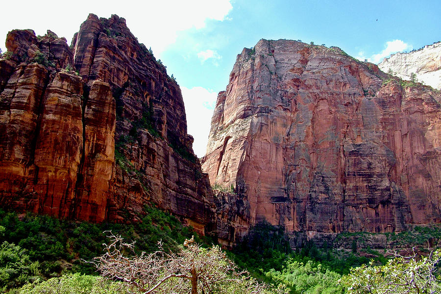 View from Big Bend of Zion Canyon Road, Zion Nationao Park, Utah Photograph by Ruth Hager