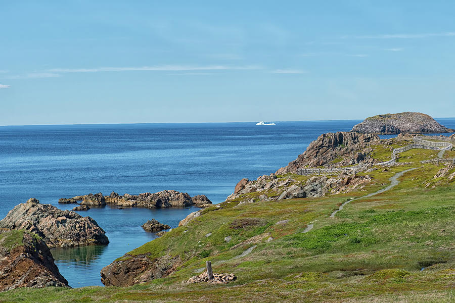 View From Bonavista Photograph by CR Courson