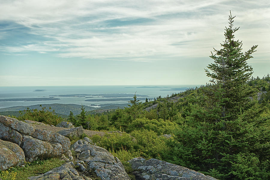 View from Cadillac Mountain Photograph by Mike Martin