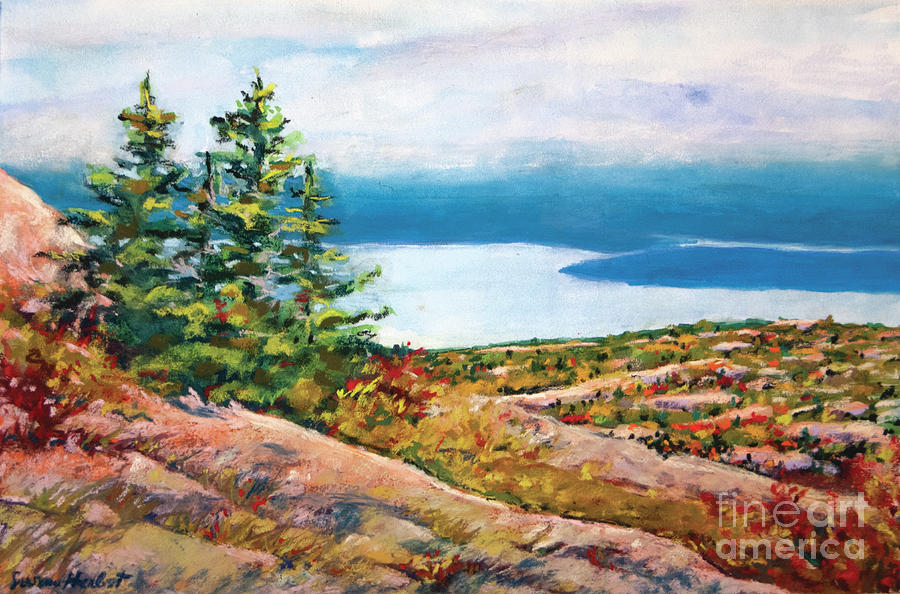 View from Cadillac Mountain Painting by Susan Herbst