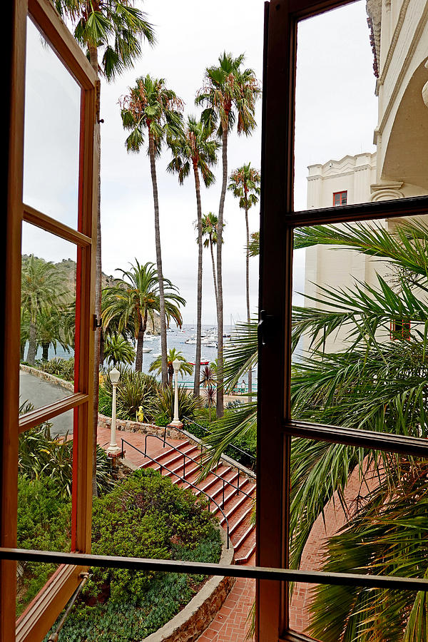 View from Catalina Casino Study 1 Photograph by Robert Meyers-Lussier
