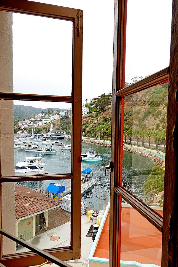 View from Catalina Casino Study 2 Photograph by Robert Meyers-Lussier