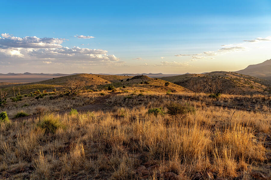 Davis Mountains - 21635 Photograph by Wall Art Of Texas Davis Mountains - 21635 Photograph by Wall Art Of Texas
