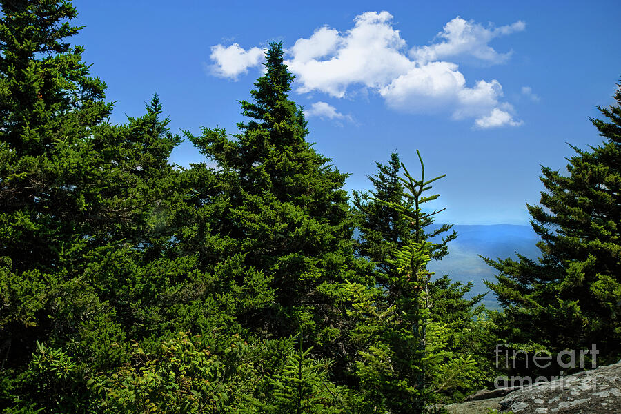 View from Grandfather Mountain Photograph by Shelia Hunt