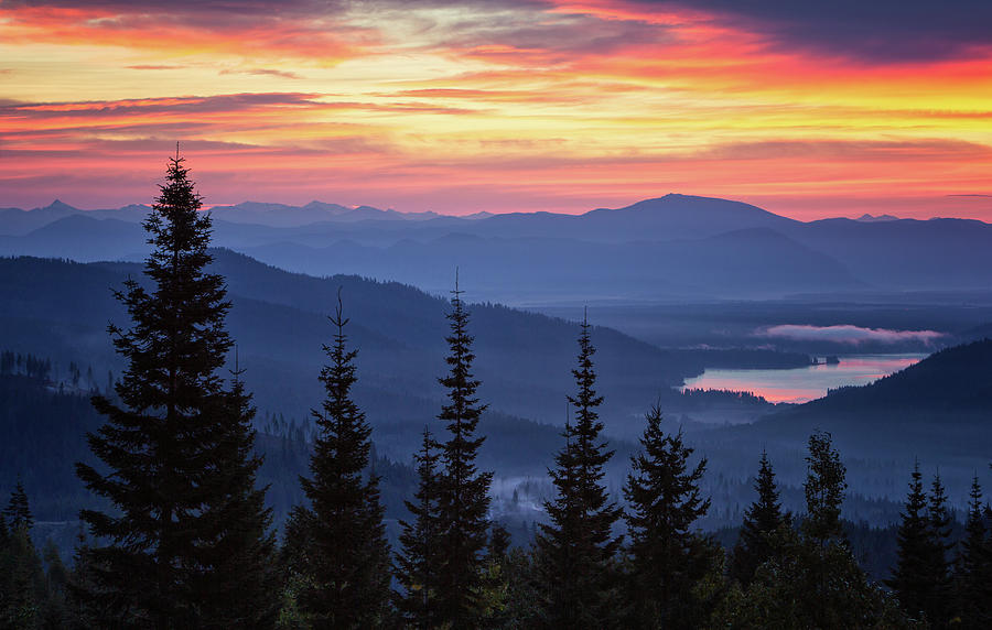 View From Mt. Spokane Photograph by James Richman