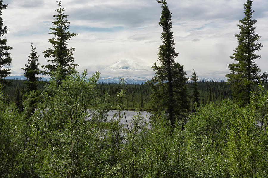 View from Nabesna Road Photograph by Belinda Greb