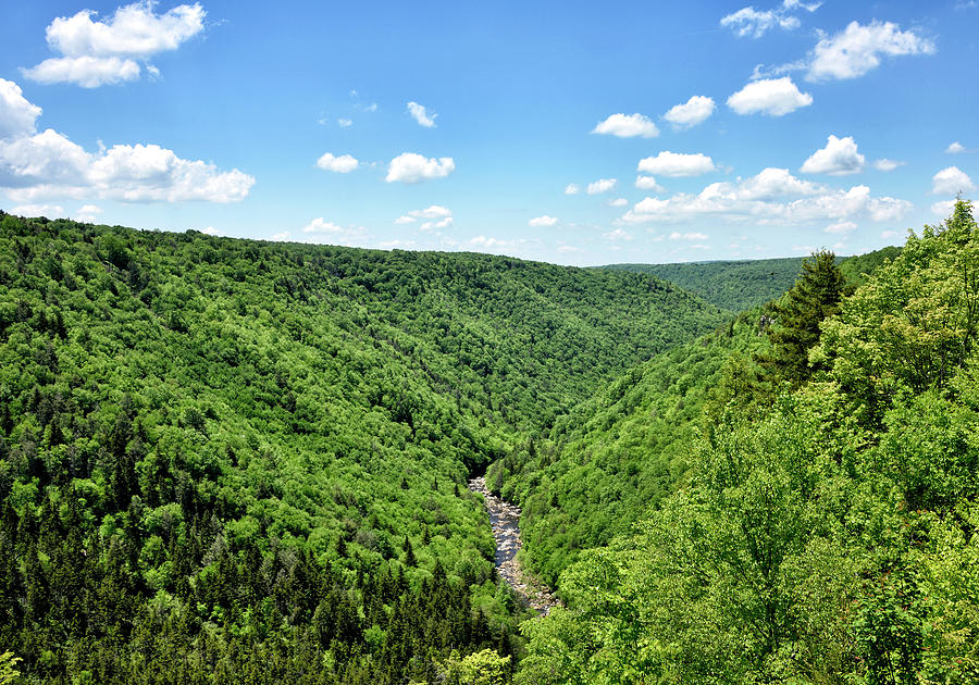 View from Pendleton Point Overlook, West Virginia Photograph by Brendan Reals