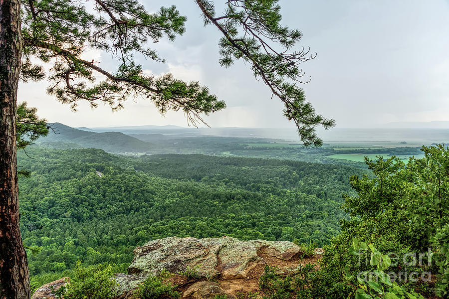 View from Petit Jean CCC Overlook Photograph by Jennifer White