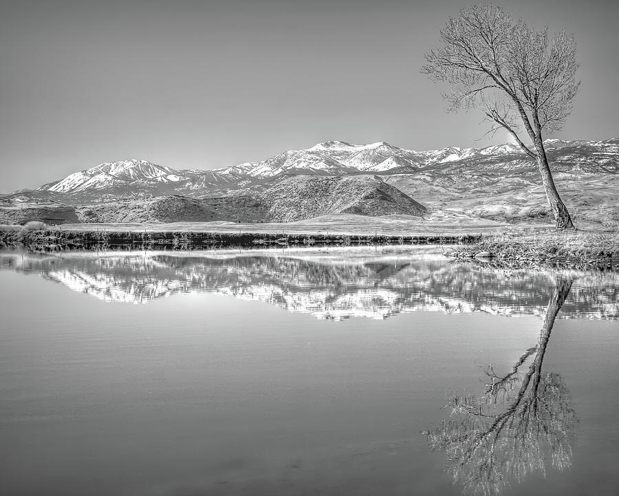 View from Rosewood Lakes B W Photograph by Donna Kennedy