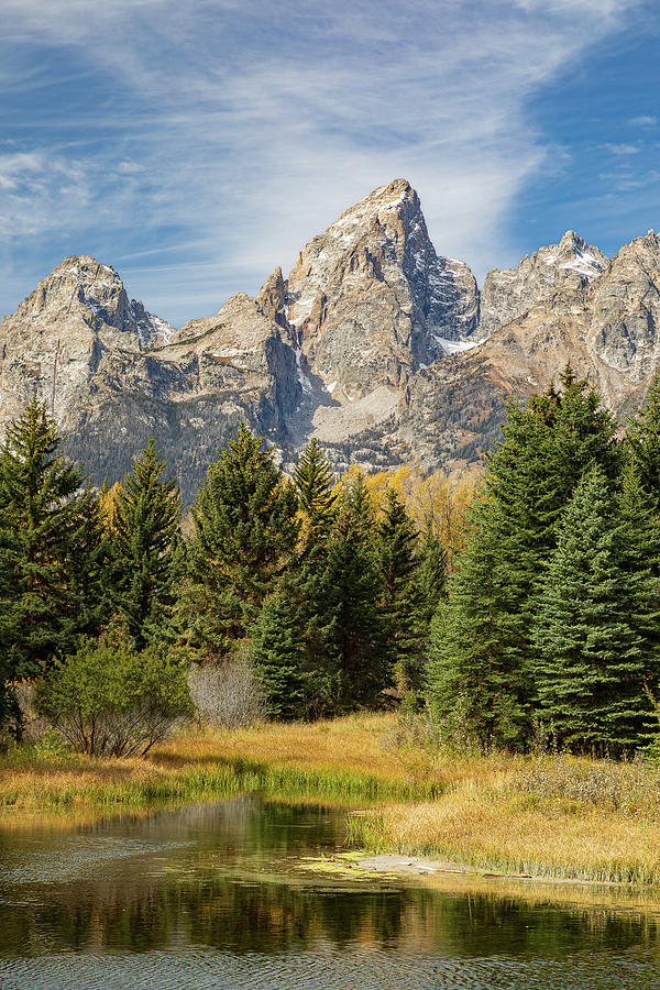 View from Schwabacher Landing Photograph by Tim Stanley