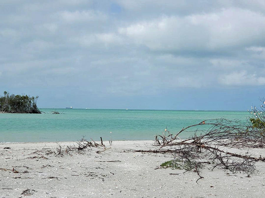 View From Shell Key Photograph