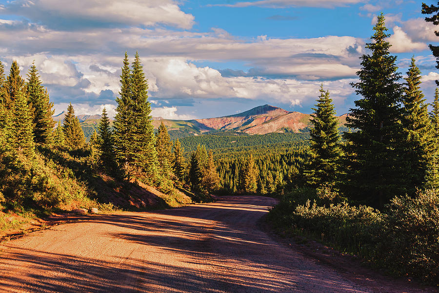 View from Shrine Pass Road Near Vail, Colorado Photograph by Jeanette Fellows
