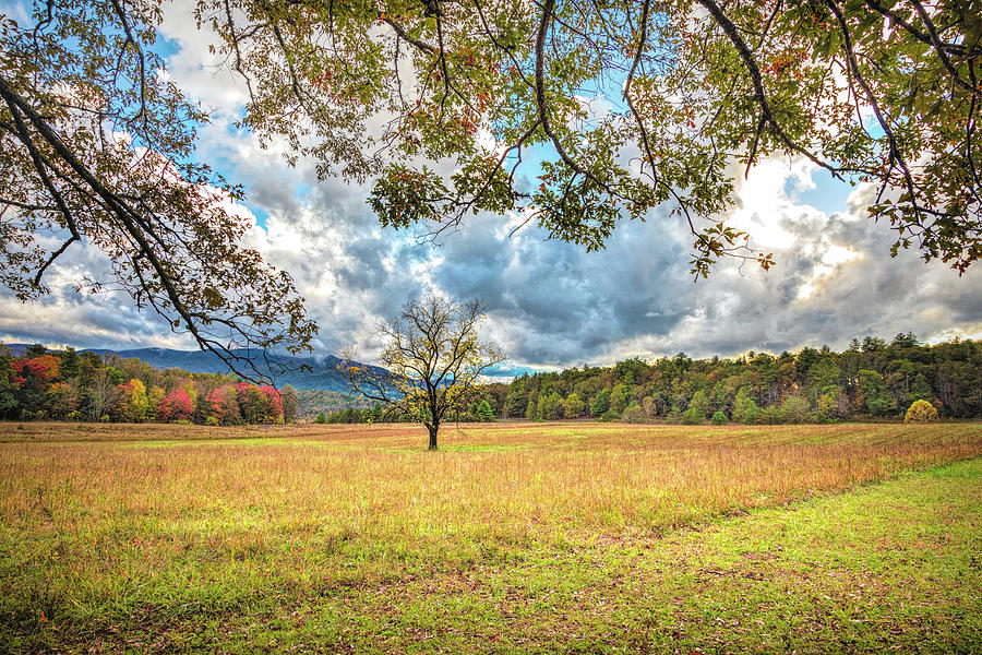 View from Sparks Lane at Cades Cove Townsend Tennessee Photograph by Debra and Dave Vanderlaan