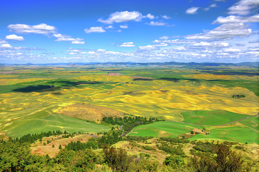 View From Steptoe Butte Photograph
