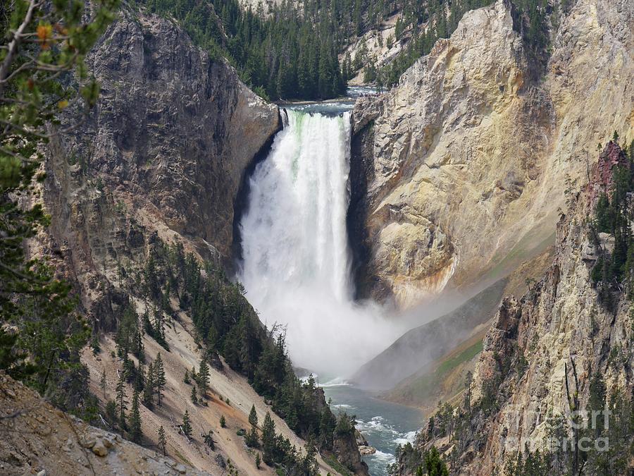 View from the Artist Point of Lower Yellowstone Falls  Photograph by On da Raks