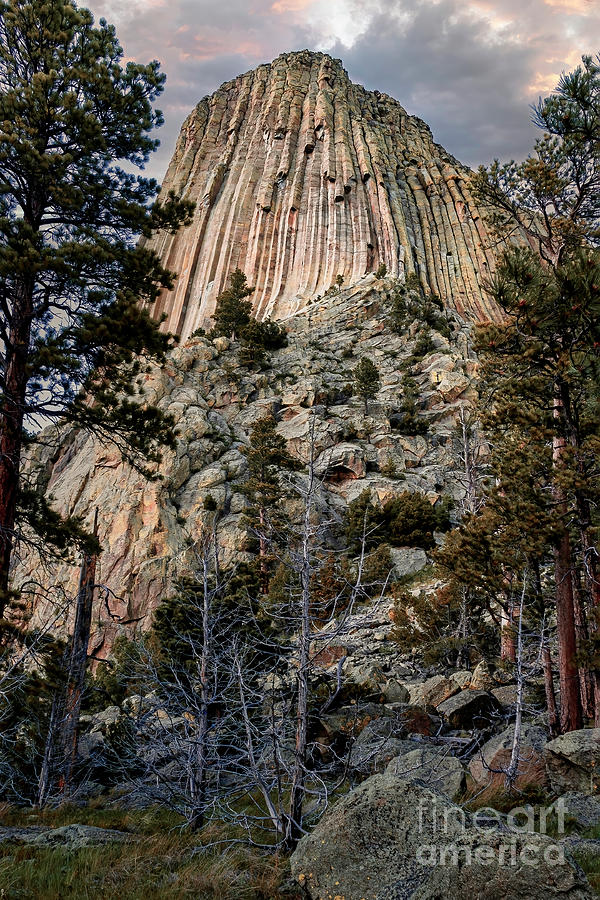 View from the base of Devils Tower Photograph by Nick Zelinsky Jr