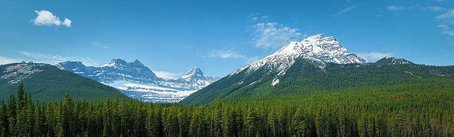View From The Icefield Parkway Photograph by Rick Deacon