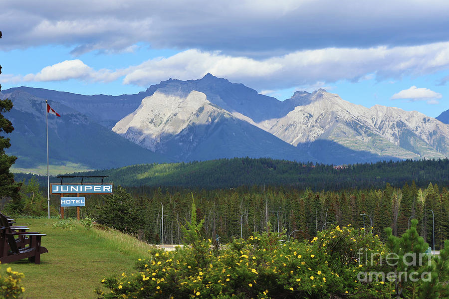 View From the Juniper Hotel in Banff Alberta Photograph by Nina Silver
