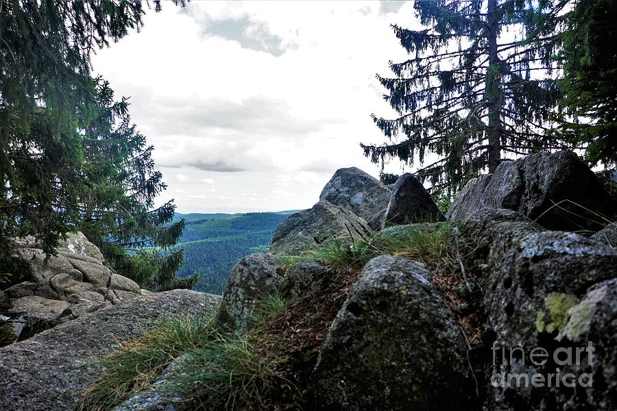 View From The Sentiers Des Roches To The Hills Of The Vosges Photograph