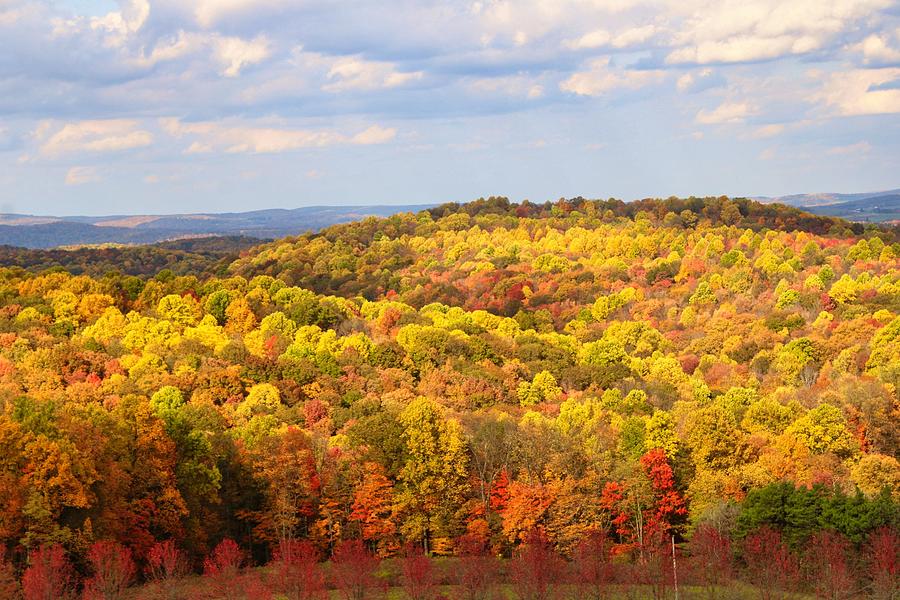 View from the top Photograph by Amber White - Fine Art America