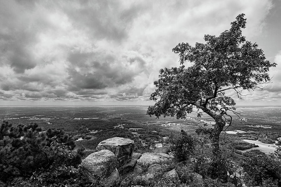 View From the Top of Pilot Mountain Photograph by Bob Decker