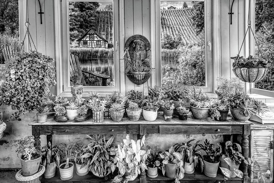 View from the Vineyard Greenhouse Black and White Photograph by Debra and Dave Vanderlaan