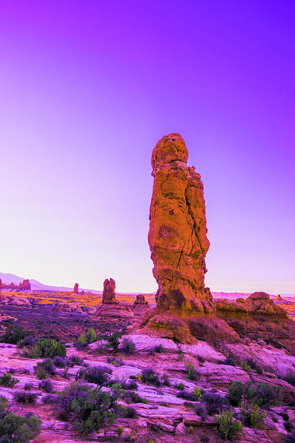 View In Arches National Park Photograph