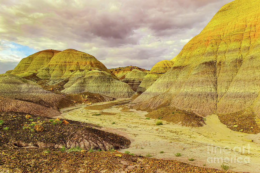 View in the painted desert Photograph by Jeff Swan